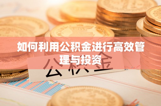 得荣如何利用公积金进行高效管理与投资